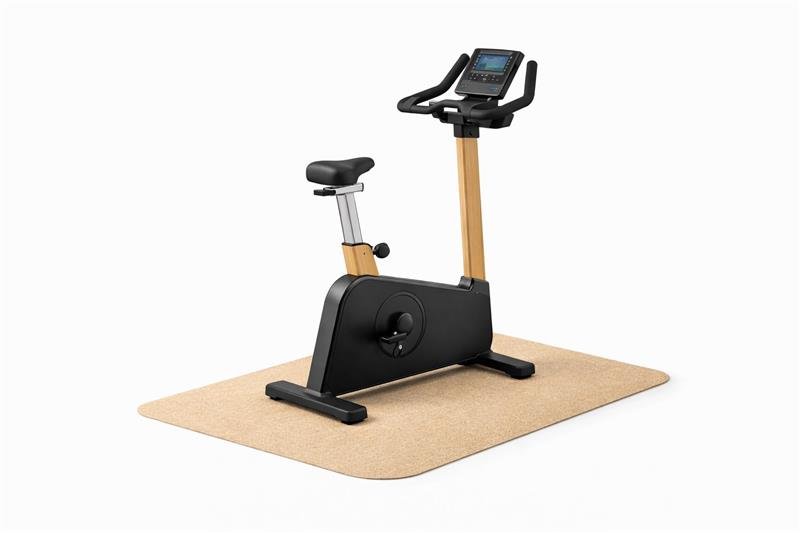 dviratis treniruoklis jpg (1)